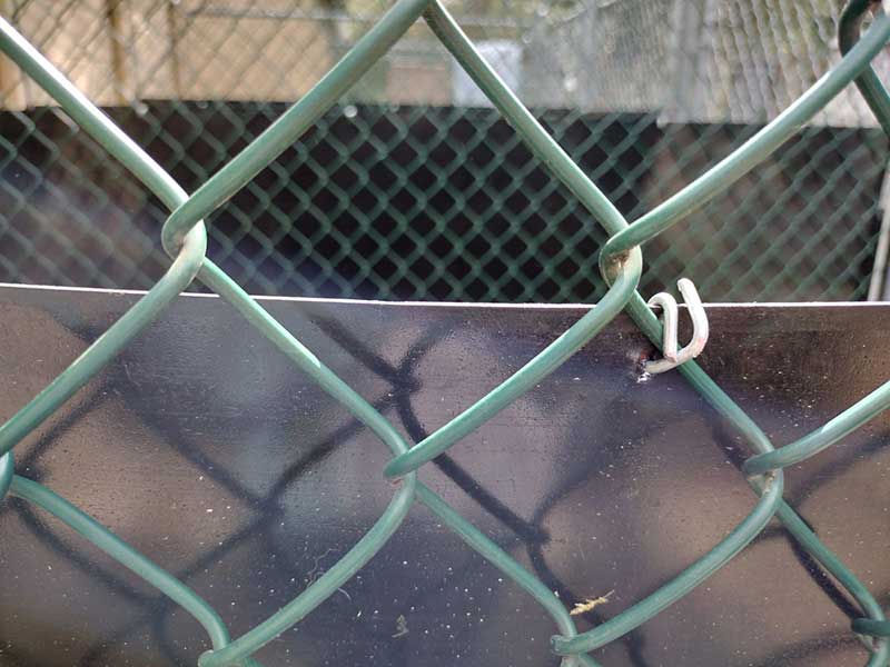 Dog Proof Wall Covering