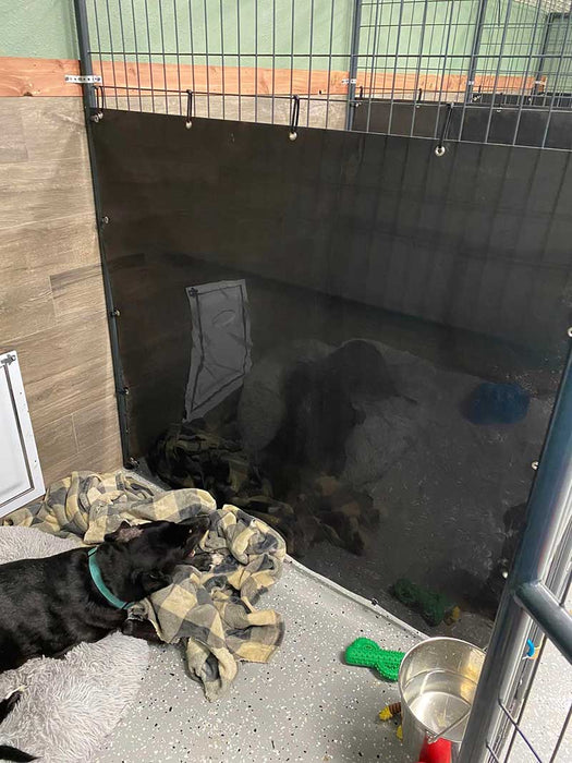 Dog kennel liner installed as a seperation barrier between stalls