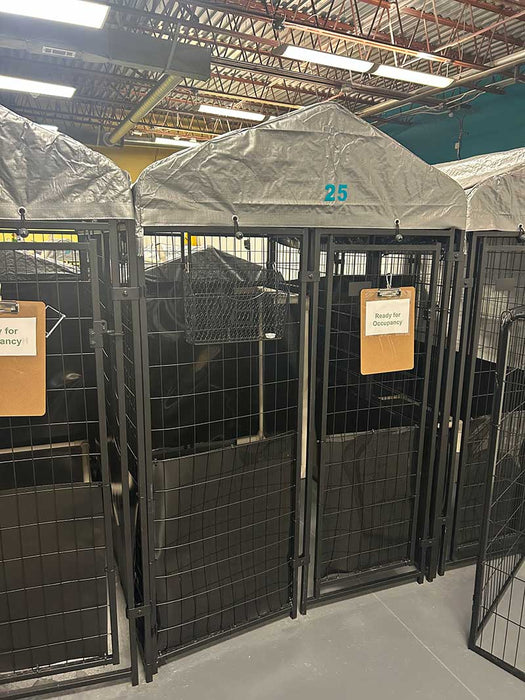 Dog Proof Wall Covering