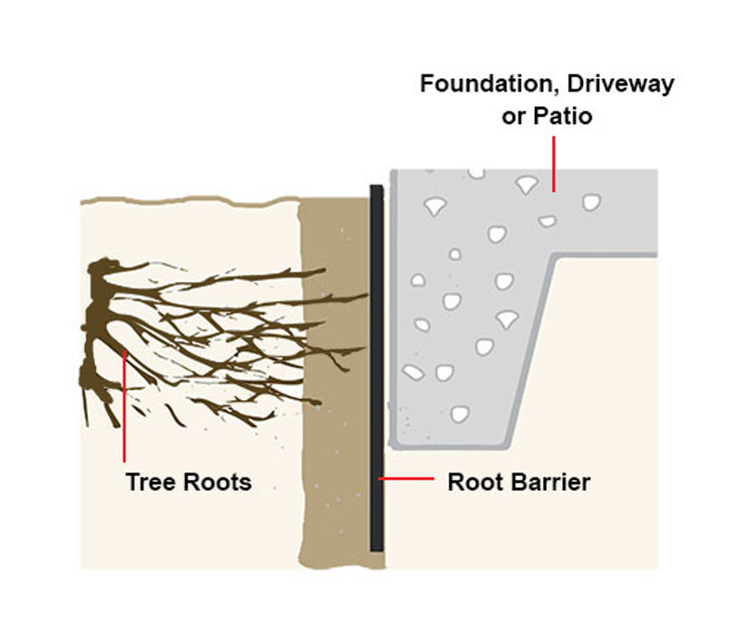 Foundation Root Barrier
