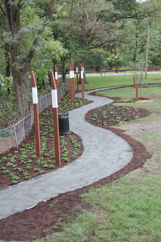 Black Landscape Edging: Durable Black Aluminum Borders | Longview Supply