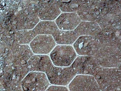 Grid Pavers: Open-Lattice Paving for Grass and Gravel | Longview Supply