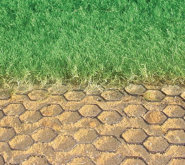 Grass Driveway Pavers: Drive on Grass Without Ruts | Longview Supply