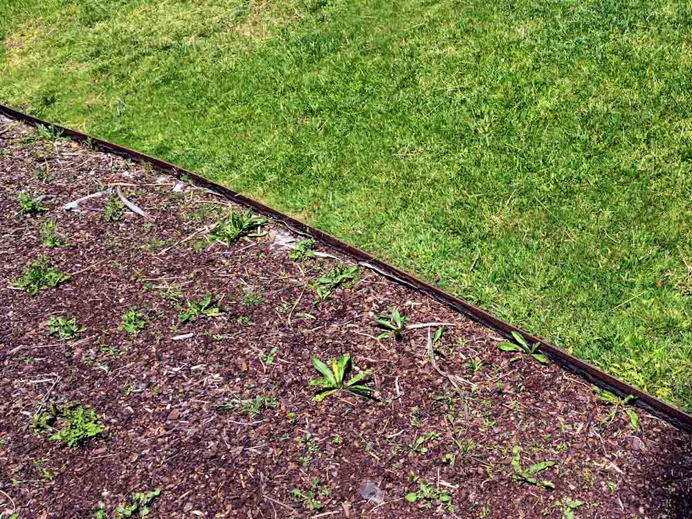 Black Landscape Edging: Durable Black Aluminum Borders | Longview Supply