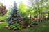 Permaloc ProSlide Edging - 60653 - 8' x 3/16” x 5.5” Black DuraFlex - 112LF per Carton