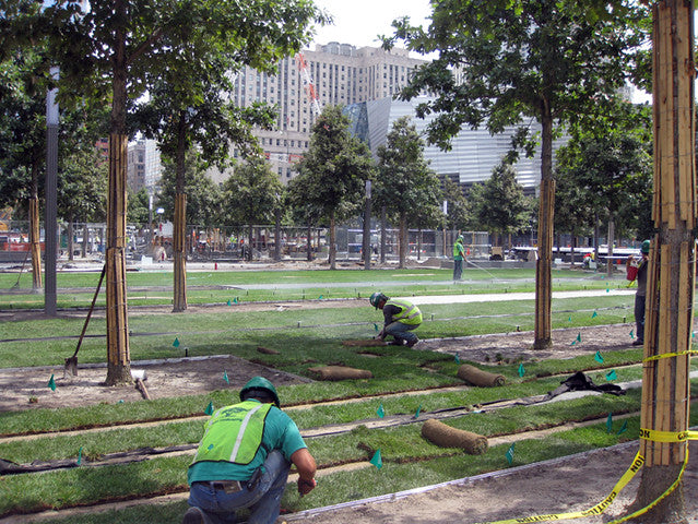 Aluminum Garden Edging - 10150 - 8' x 1/8” x 3” Mill Finish - 120LF per Carton
