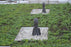 Green Roof Edging