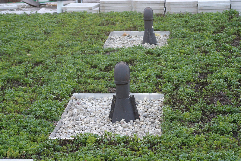 Green Roof Edging