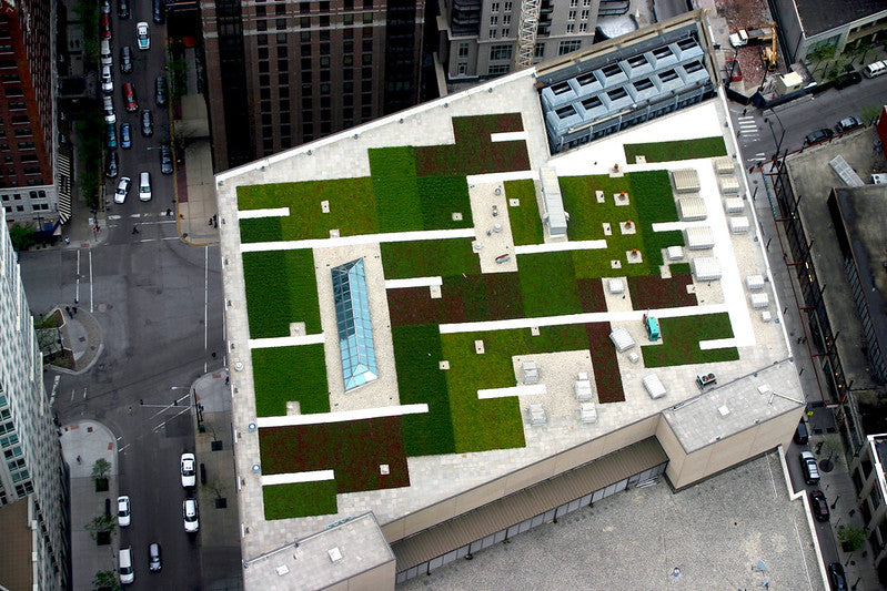 Green Roof Edging
