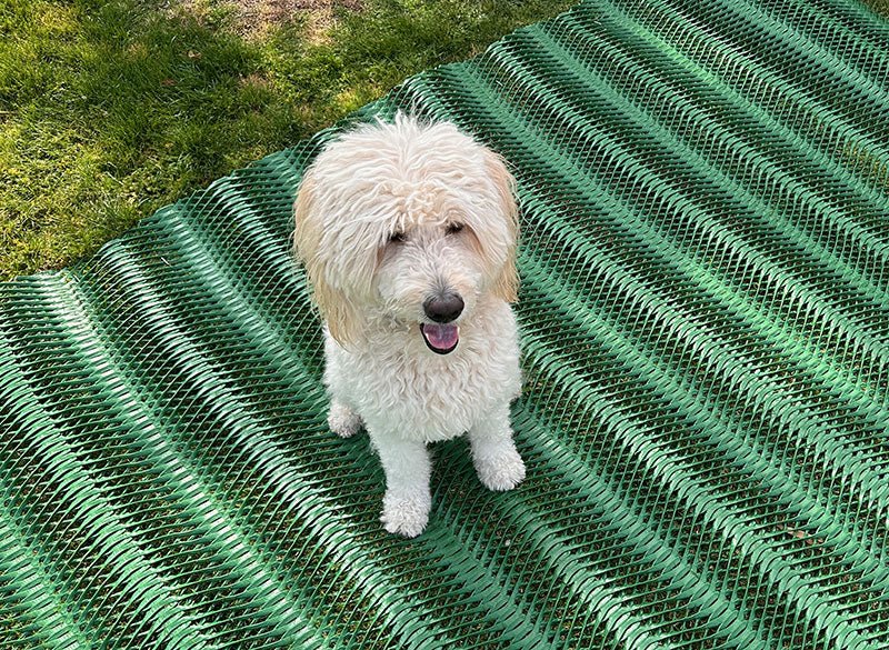 Dog Run Ground Protection Mesh