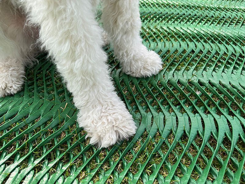 Dog Run Ground Protection Mesh