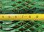 Dog Run Ground Protection Mesh