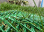 Dog Run Ground Protection Mesh