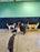 Dog Kennel Wall Liner