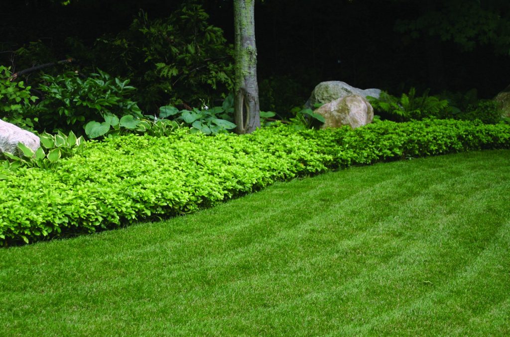 Heavy Duty Landscape Edging - 60350 - 8' x  1/8” x 4” Mill Finish - 112LF per Carton