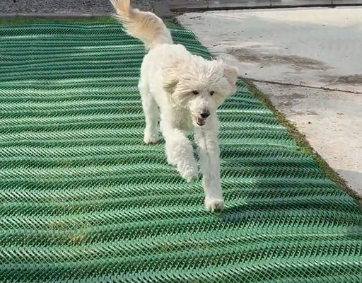 Dog Run Ground Protection Mesh
