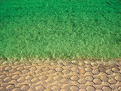 NDS EZ Roll Grass Pavers - EZ4X24 - 4' x 24' Roll