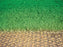NDS EZ Roll Grass Pavers - EZ4X24 - 4' x 24' Roll