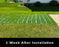 Dog Run Ground Protection Mesh