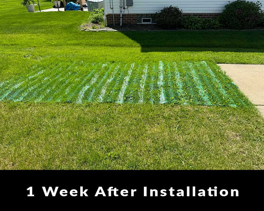 Dog Run Ground Protection Mesh