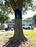 Tree Wrap to Prevent Squirrels