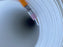 Dog Kennel Wall Liner