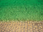 NDS EZ Roll Grass Pavers - EZ4X24 - 4' x 24' Roll